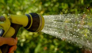 Bei der Gartenpflege kümmern wir uns um Ihre Pflanzen